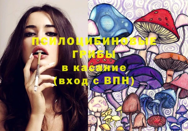 гидропоника Аркадак