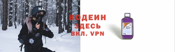 хмурый Арсеньев