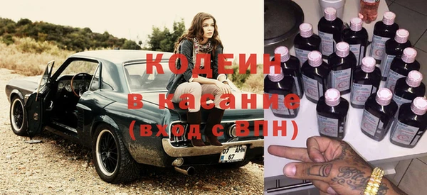 хмурый Арсеньев