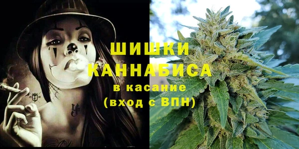 хмурый Арсеньев