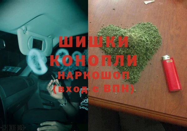 хмурый Арсеньев