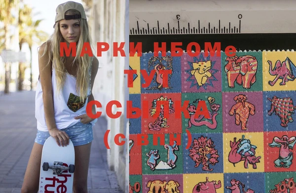 хмурый Арсеньев