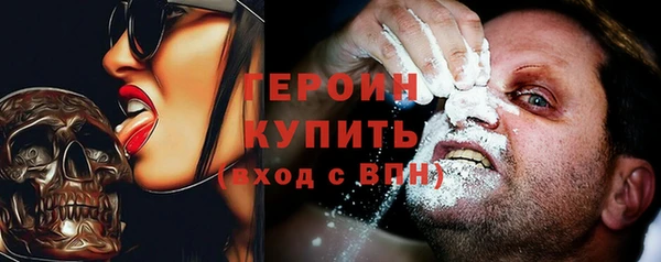 хмурый Арсеньев