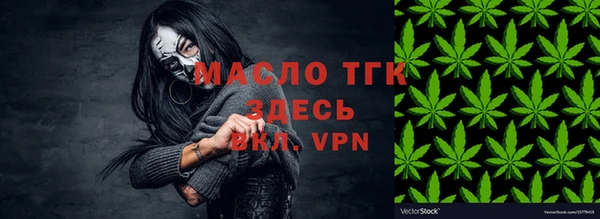 хмурый Арсеньев